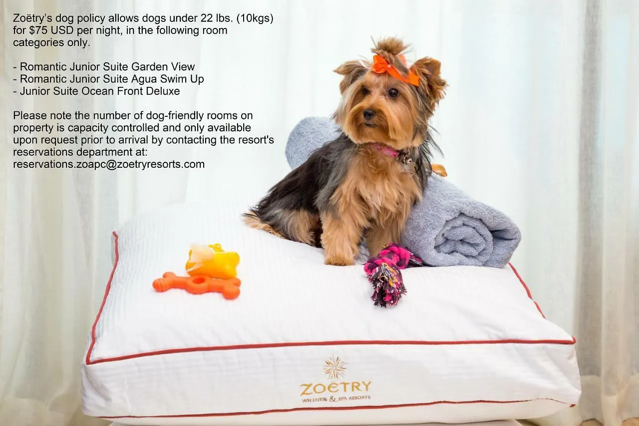 Zoetry Agua Пунта-Кана Доминиканская Республика